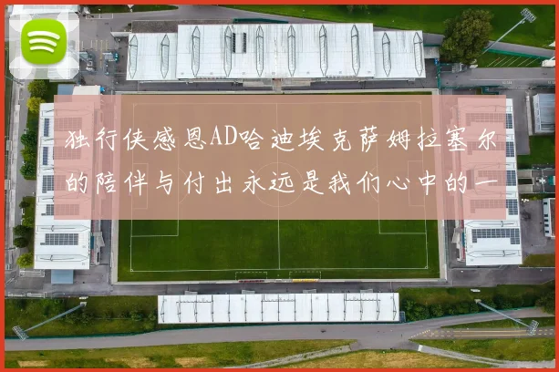 独行侠感恩AD哈迪埃克萨姆拉塞尔的陪伴与付出永远是我们心中的一家人